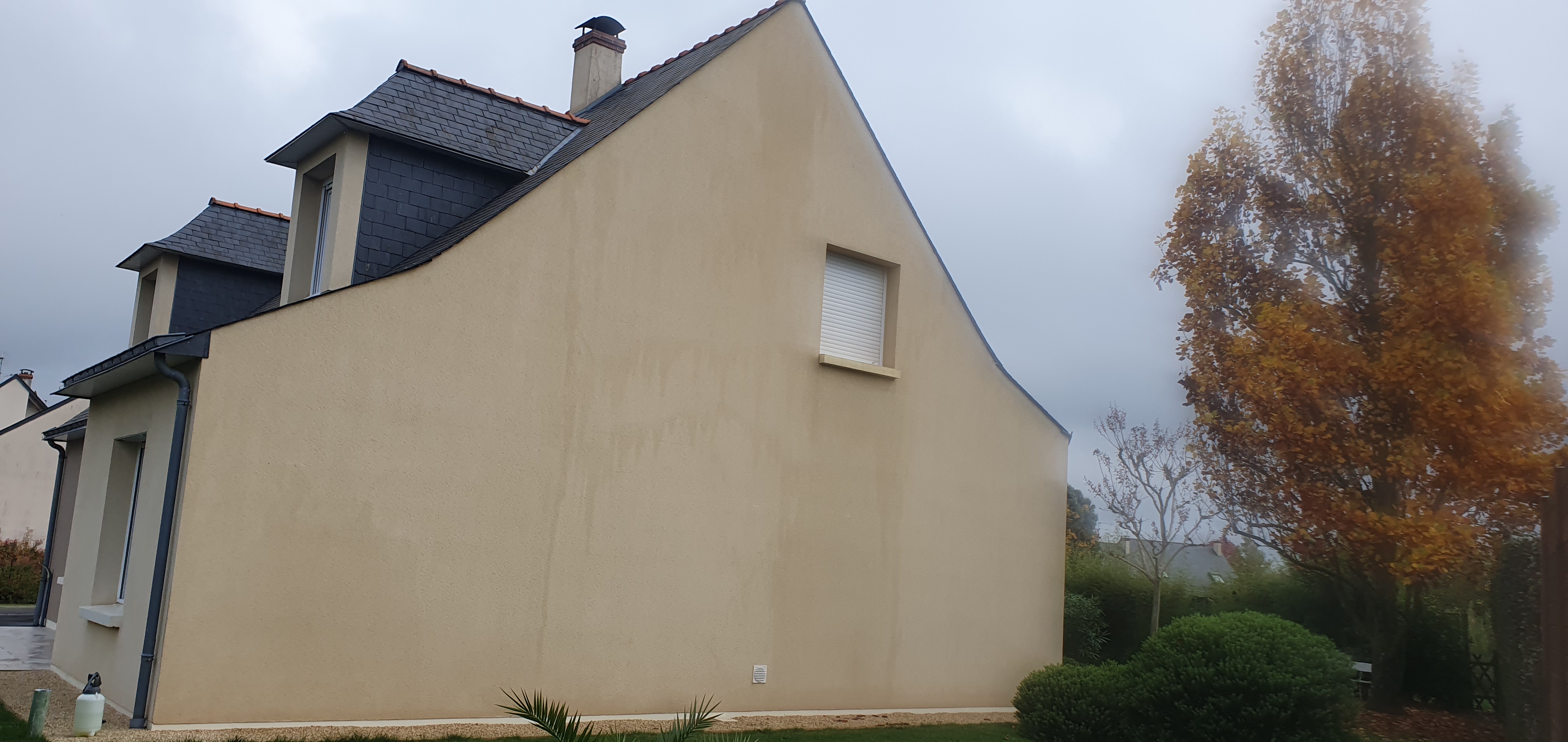pignon